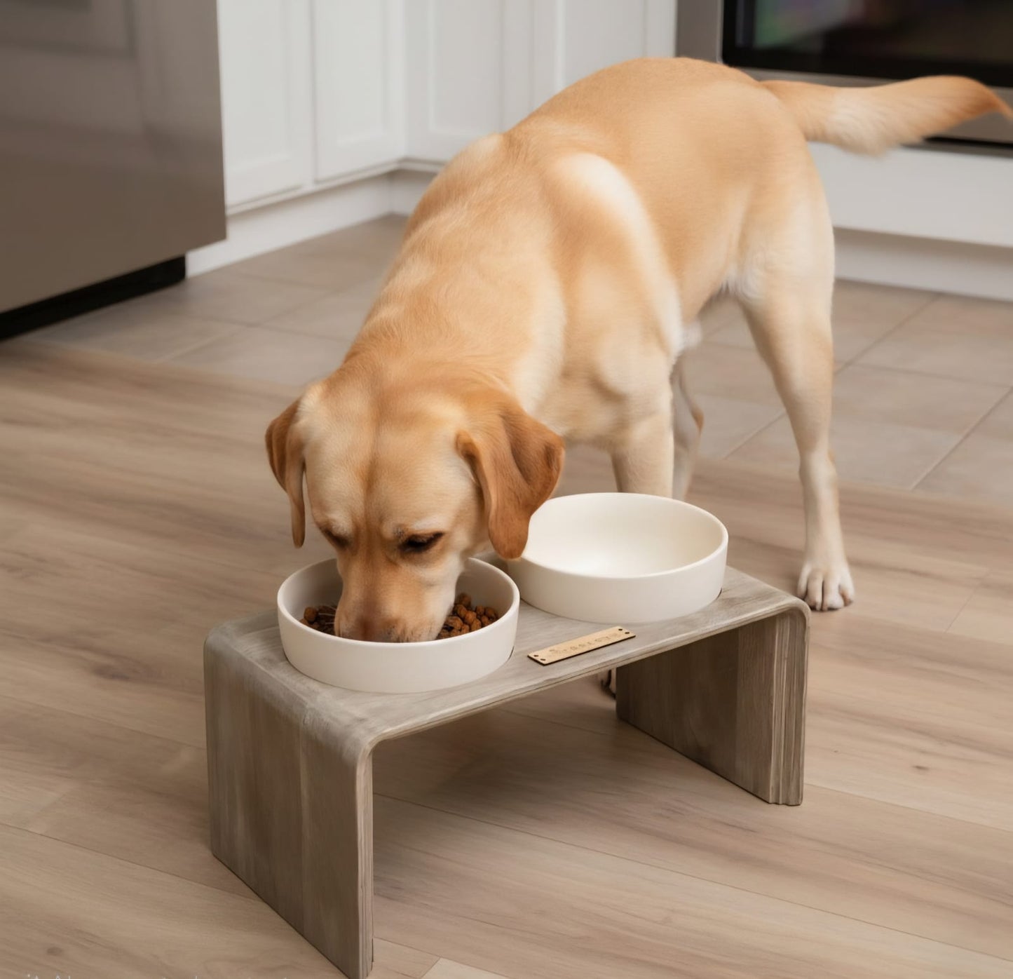 Ceramic Dog Bowls with Wooden Stand