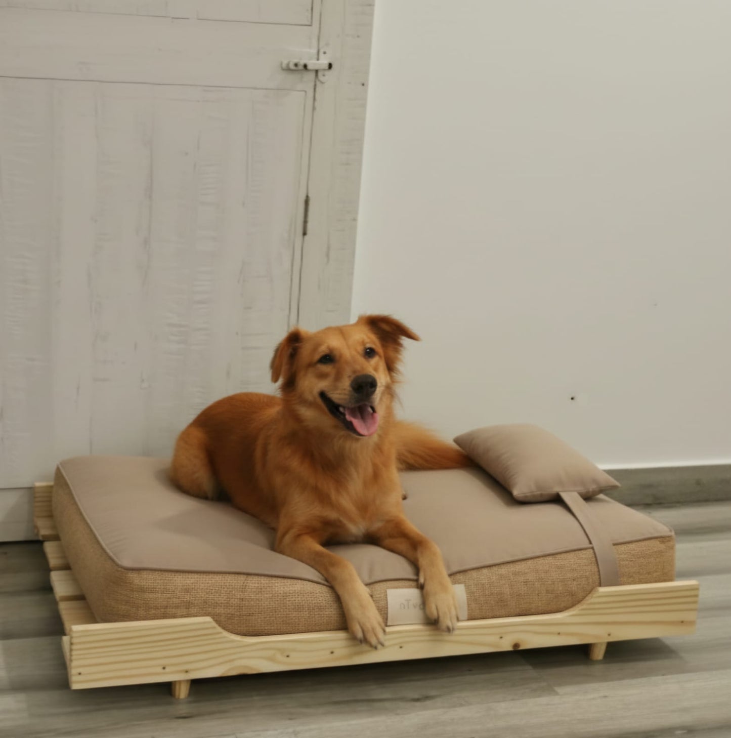 Foldable Wooden Dog Bed with Cushion | Large Pet Sofa Bed | Portable Folding Pet Cot for Large Dogs | Indoor Use | 48 x 30 Inches (4 ft x 2.5 ft)