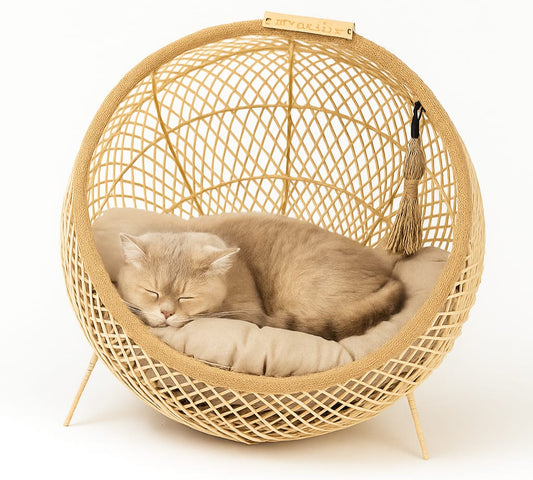 Wooden Luxury Handmade Cat and Small Dog Cane Bed – 18"x18" with Cushion & Play Toy